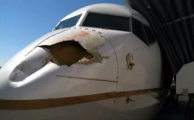 Δείτε τι ζημιά μπορεί να προκαλέσει σε ένα αεροπλάνο ένα πουλί [pics] - Φωτογραφία 2