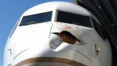 Δείτε τι ζημιά μπορεί να προκαλέσει σε ένα αεροπλάνο ένα πουλί [pics] - Φωτογραφία 3