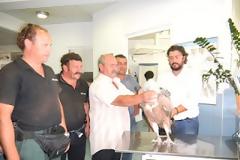 Ο πυρόπληκτος φτερωτός πρίγκιπάς μας…