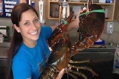 Αντί να φάει τον αστακό τον… άφησε στον ωκεανό!