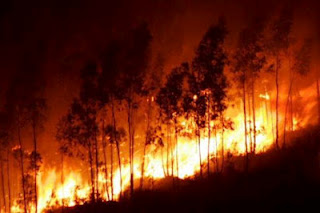 Σε εξέλιξη η πυρκαγιά στην περιοχή Σκουλικάδο της Ζακύνθου - Φωτογραφία 1