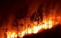 Σε εξέλιξη η πυρκαγιά στην περιοχή Σκουλικάδο της Ζακύνθου