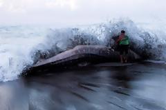 Άδοξο τέλος για το μεγαλύτερο ψάρι στον κόσμο