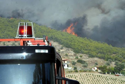 21 πυρκαγιές στην Κρήτη λίγες μέρες μετά την απόφαση Σ.τ.Ε. για ΑΠΕ και σε αναδασωτέες εκτάσεις ! - Φωτογραφία 1