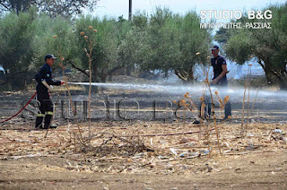 Φωτιά στην περιοχή Πουλακίδα στο δήμο Ναυπλίου - Φωτογραφία 2