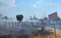 Φωτιά στην περιοχή Πουλακίδα στο δήμο Ναυπλίου