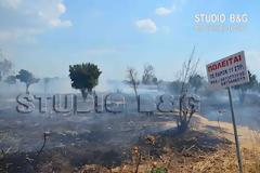 Φωτιά στην περιοχή Πουλακίδα στο δήμο Ναυπλίου