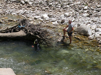 Εκτός ελέγχου η παράνομη αλιεία στα Ελληνικά ποτάμια - Φωτογραφία 2