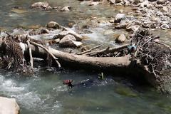 Εκτός ελέγχου η παράνομη αλιεία στα Ελληνικά ποτάμια