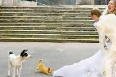 Μερικές φορές... δεν πάνε όλα τόσο καλά σε έναν γάμο!