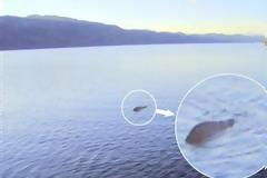 Τελικά υπάρχει το τέρας του Λοχ Νες;