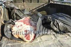 Πρέβεζα: Μετέφερε 200 κιλά κρέας σε κρεοπωλείο στην Λευκάδα εκτός ψυγείου