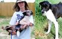 ΣΥΓΚΛΟΝΙΣΤΙΚΟ: Διάσωση ζώων... Πριν και μετά - Φωτογραφία 30