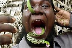 Ρεκόρ Γκίνες που θα σας αφήσουν άφωνους!