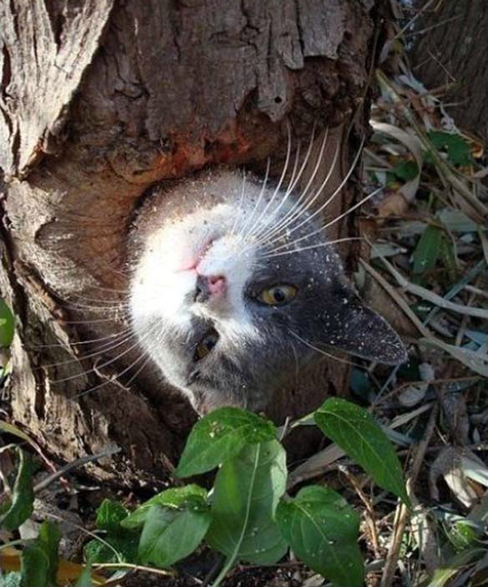 ΔΕΙΤΕ: Κάτι δεν πήγε καλά... - Φωτογραφία 11