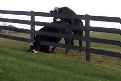 ΔΕΙΤΕ: Κάτι δεν πήγε καλά...