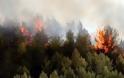 Τέσσερις άνθρωποι έχασαν τη ζωή τους από πυρκαγιά στην ΠΓΔΜ
