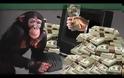 ΝΤΡΟΠΗ ΡΕ!!!!Φωνάζουν για τις συντάξεις- μαϊμού αλλά ξέρετε πόσες υποθέσεις πήγαν στον εισαγγελέα;