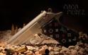 ΔΕΙΤΕ: 11 περίεργες απομιμήσεις Louis Vuitton - Φωτογραφία 11