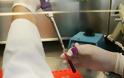 Έφθασαν τους 40 οι ασθενείς που μολύνθηκαν απο τον ιό του Δυτικού Νείλου