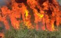 ΣΥΜΒΑΙΝΕΙ ΤΩΡΑ: Τραυματίστηκαν δύο άτομα από την πυρκαγιά στην Αρκαδία