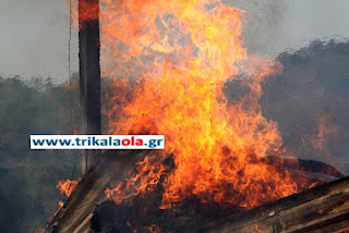 Ποιμνιοστάσιο με 20 αρνιά και 500 στρέμματα έγιναν κάρβουνο σήμερα στα Τρίκαλα - Φωτογραφία 1