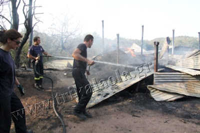 Ποιμνιοστάσιο με 20 αρνιά και 500 στρέμματα έγιναν κάρβουνο σήμερα στα Τρίκαλα - Φωτογραφία 6