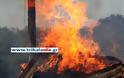 Ποιμνιοστάσιο με 20 αρνιά και 500 στρέμματα έγιναν κάρβουνο σήμερα στα Τρίκαλα