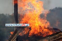 Ποιμνιοστάσιο με 20 αρνιά και 500 στρέμματα έγιναν κάρβουνο σήμερα στα Τρίκαλα