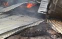 Ποιμνιοστάσιο με 20 αρνιά και 500 στρέμματα έγιναν κάρβουνο σήμερα στα Τρίκαλα - Φωτογραφία 7