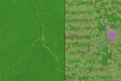 Το δάσος του Αμαζονίου εξαφανίζεται