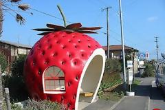 Δείτε τις πιο στυλάτες και παράξενες στάσεις λεωφορείων! (PICS)