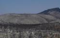 Η Περιφέρεια Κρήτης καθαρίζει ρέματα στις καμένες εκτάσεις της Βιάννου για να… προλάβει το χειμώνα