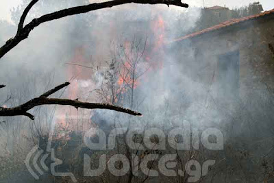 Σε εξέλιξη η πυρκαγιά στην περιοχή της Μεγαλόπολης [Video] - Φωτογραφία 2