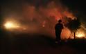 Ολονύχτια μάχη με τις φλόγες στην Αρκαδία - Από ένα τσιγάρο ξεκίνησε ο πύρινος εφιάλτης - Φωτογραφία 1