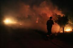 Ολονύχτια μάχη με τις φλόγες στην Αρκαδία - Από ένα τσιγάρο ξεκίνησε ο πύρινος εφιάλτης