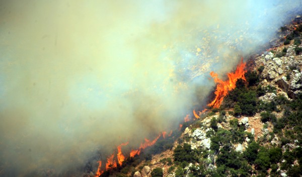 Διατάχθηκε η προληπτική εκκένωση της Ουρανούπολης – Απειλούνται σπίτια, εγκατέλειψαν την πόλη οι τουρίστες – Μάχη με τις φλόγες και στην Αρκαδία - Φωτογραφία 5