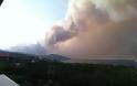 Διατάχθηκε η προληπτική εκκένωση της Ουρανούπολης – Απειλούνται σπίτια, εγκατέλειψαν την πόλη οι τουρίστες – Μάχη με τις φλόγες και στην Αρκαδία - Φωτογραφία 1
