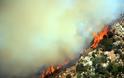 Διατάχθηκε η προληπτική εκκένωση της Ουρανούπολης – Απειλούνται σπίτια, εγκατέλειψαν την πόλη οι τουρίστες – Μάχη με τις φλόγες και στην Αρκαδία - Φωτογραφία 5