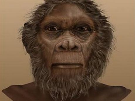 Ανακαλύφθηκε νέος πρόγονος του ανθρώπου ηλικίας 2.000.000 ετών - Φωτογραφία 1