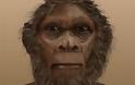 Ανακαλύφθηκε νέος πρόγονος του ανθρώπου ηλικίας 2.000.000 ετών