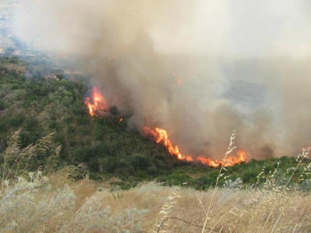 ΔΕΙΤΕ: Υπό μερικό έλεγχο η φωτιά στον Κατελειό Κεφαλλονιάς - Φωτογραφία 2