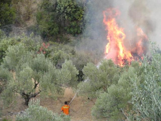 ΔΕΙΤΕ: Υπό μερικό έλεγχο η φωτιά στον Κατελειό Κεφαλλονιάς - Φωτογραφία 4