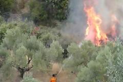 ΔΕΙΤΕ: Υπό μερικό έλεγχο η φωτιά στον Κατελειό Κεφαλλονιάς