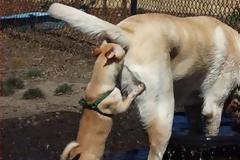 ΔΕΙΤΕ: Ξεκαρδιστικές φωτογραφίες