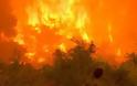 Μέχρι και 300 πυρκαγιές κάθε μέρα στη Βουλγαρία