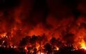 200 πυρκαγιές σε καθημερινή βάση στη Βουλγαρία