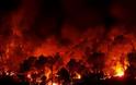 200 πυρκαγιές εκδηλώνονται σε καθημερινή βάση στη Βουλγαρία