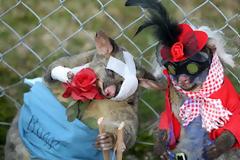 Μακάβριος διαγωνισμός για κιτς γούστα! (pics)