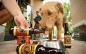 Νέα «μπύρα» για ...σκυλιά